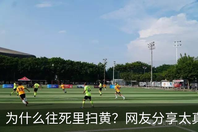 为什么往死里扫黄？网友分享太真实了，一次说透！