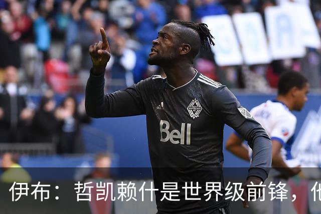 伊布：哲凯赖什是世界级前锋，他不进球应该问问他的队友